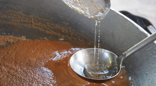 ココナッツオイル作り体験